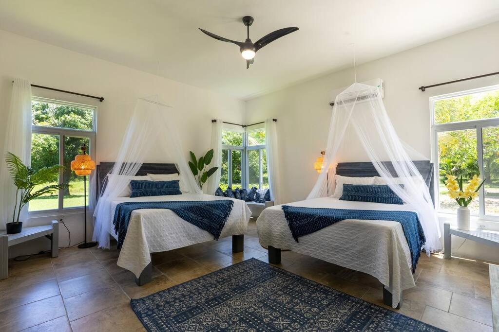 Ivy'S Cove Beach Side Condo - Luxury Villa Whitehouse エクステリア 写真