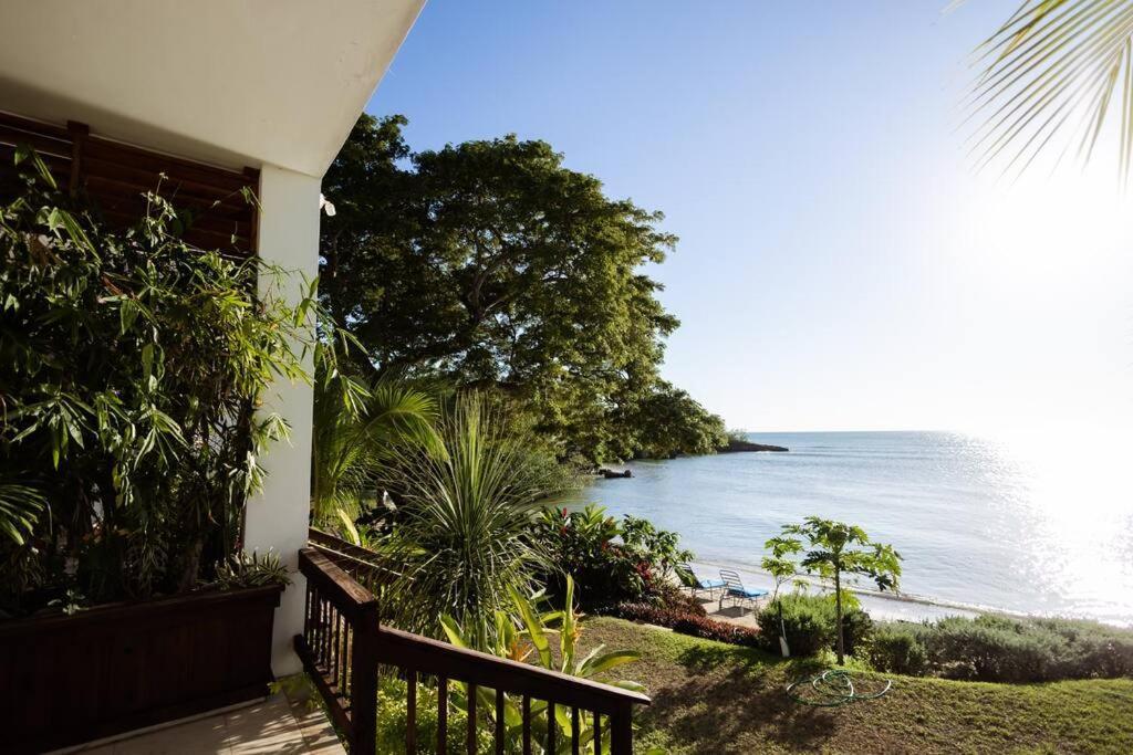 Ivy'S Cove Beach Side Condo - Luxury Villa Whitehouse エクステリア 写真