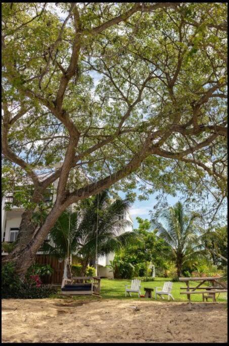 Ivy'S Cove Beach Side Condo - Luxury Villa Whitehouse エクステリア 写真