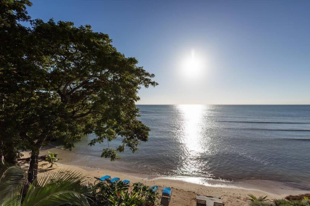 Ivy'S Cove Beach Side Condo - Luxury Villa Whitehouse エクステリア 写真