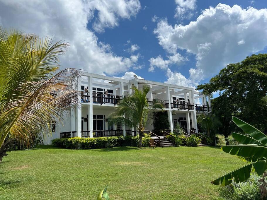 Ivy'S Cove Beach Side Condo - Luxury Villa Whitehouse エクステリア 写真