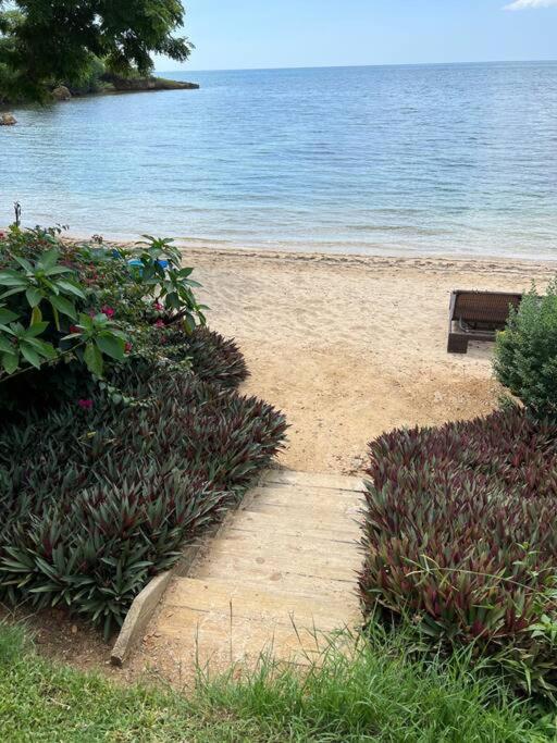 Ivy'S Cove Beach Side Condo - Luxury Villa Whitehouse エクステリア 写真