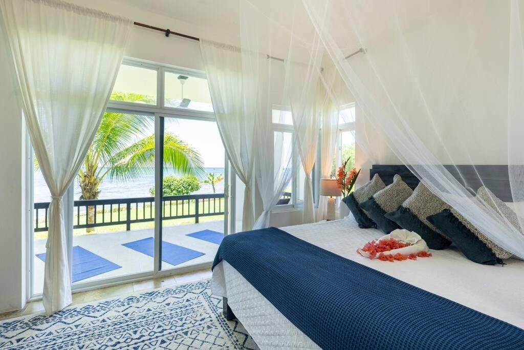 Ivy'S Cove Beach Side Condo - Luxury Villa Whitehouse エクステリア 写真