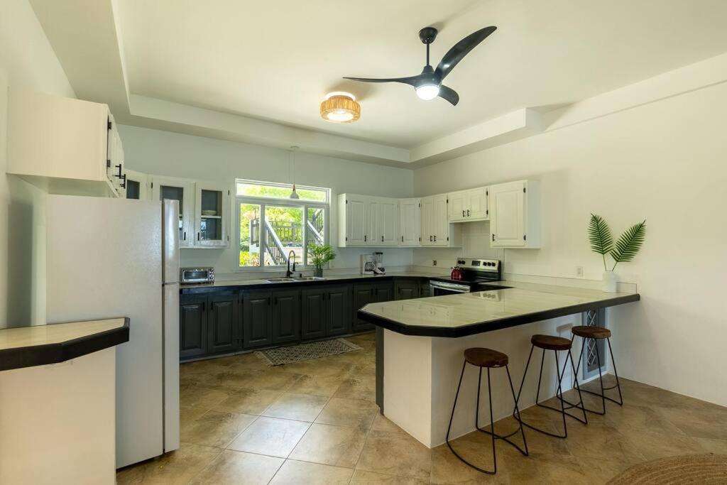 Ivy'S Cove Beach Side Condo - Luxury Villa Whitehouse エクステリア 写真